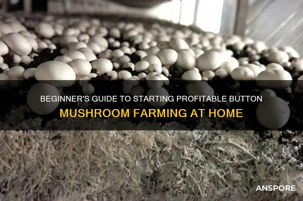 how to start button mushroom farming