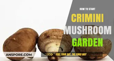 Grow Your Own Crimini Mushrooms: A Beginner's Garden Guide