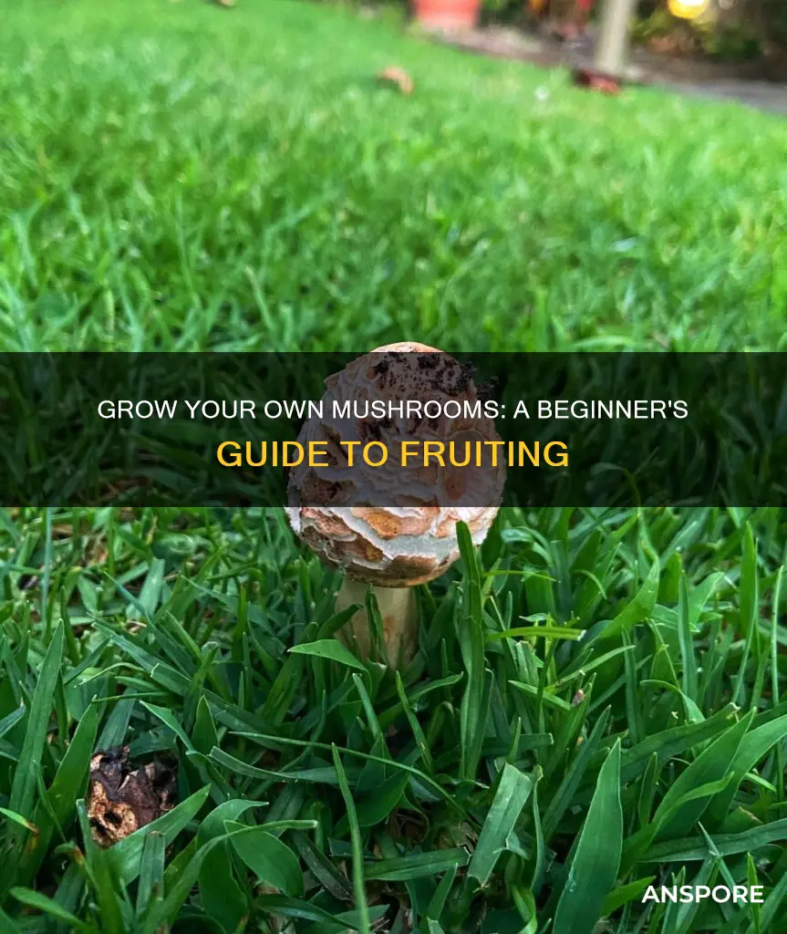 how to start fruiting mushrooms