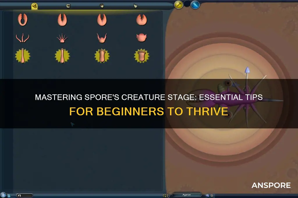 how to start in the creature stage in spore