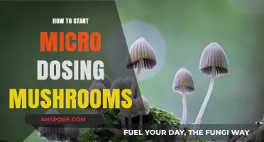 Microdosing Mushrooms: A Beginner's Guide to Starting Safely and Effectively