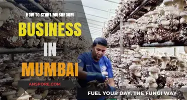 Launching a Profitable Mushroom Farming Business in Mumbai: A Beginner's Guide