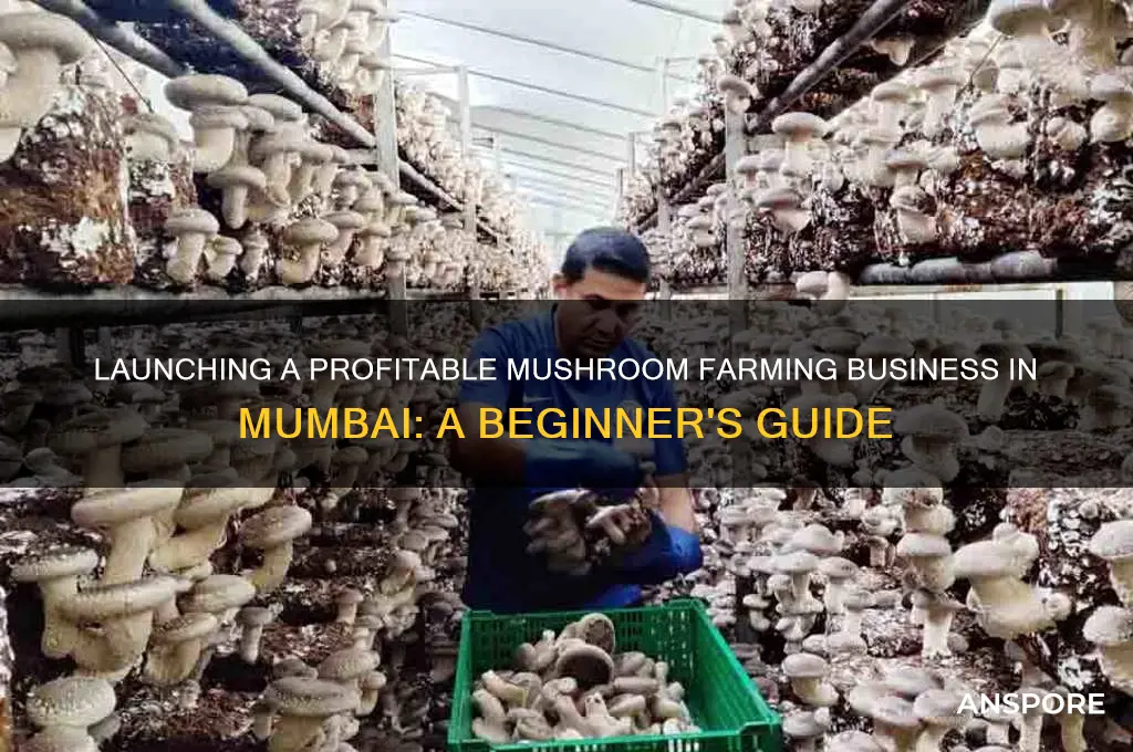 how to start mushroom business in mumbai