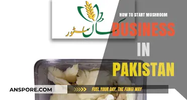 Launching a Profitable Mushroom Farming Business in Pakistan: A Beginner's Guide