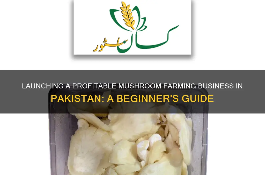 how to start mushroom business in pakistan