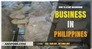 Launching a Profitable Mushroom Farming Business in the Philippines