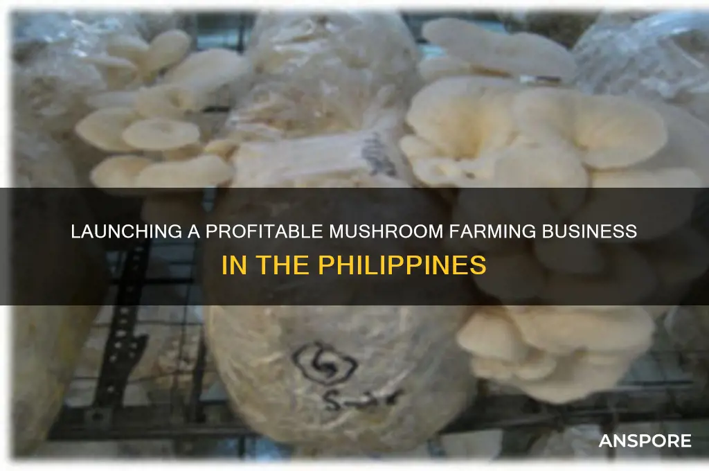 how to start mushroom business in philippines