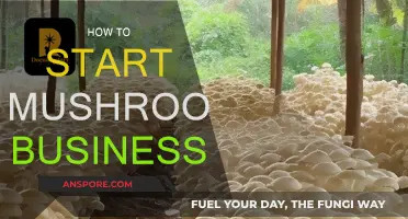 Mushroom Business: Getting Started and Growing Your Venture
