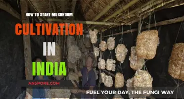 Mastering Mushroom Cultivation: A Beginner's Guide for Indian Farmers