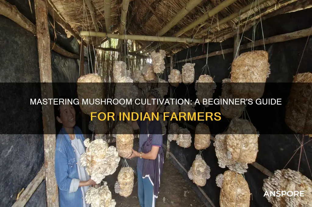 how to start mushroom cultivation in india