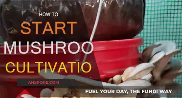 Mushroom Cultivation: Getting Started and Growing