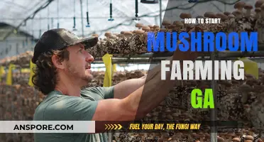 Grow Your Own: A Beginner's Guide to Mushroom Farming in GA