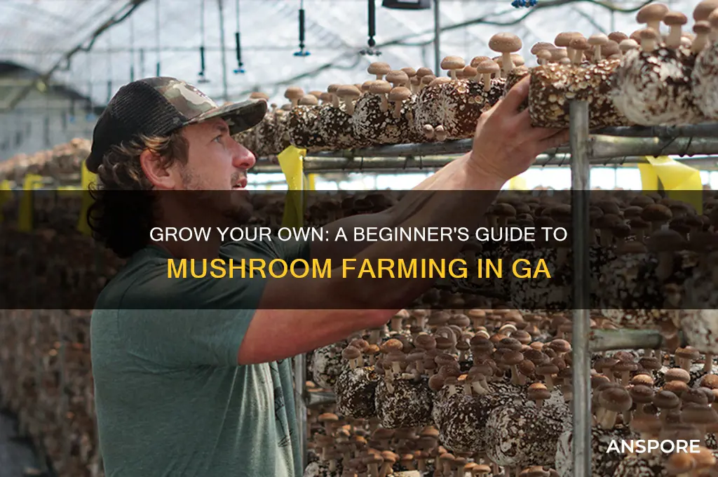 how to start mushroom farming ga