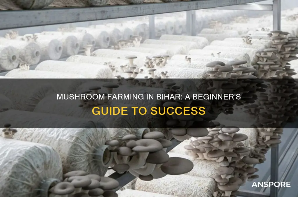 how to start mushroom farming in bihar