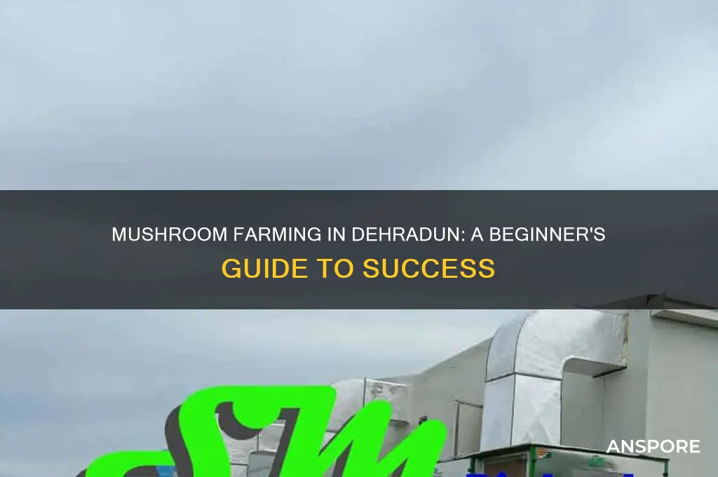 how to start mushroom farming in dehradun