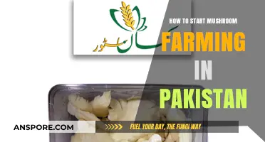 Mushroom Farming in Pakistan: A Beginner's Guide to Success