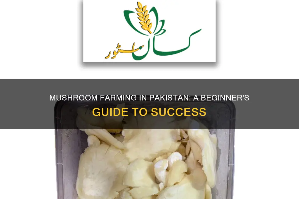how to start mushroom farming in pakistan