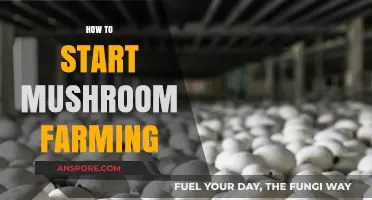Mushroom Farming: Getting Started and Growing