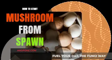 Master Mushroom Cultivation: A Beginner's Guide to Growing from Spawn
