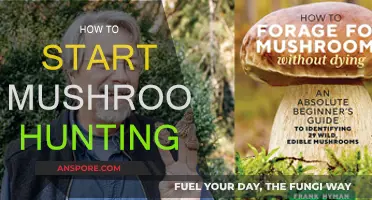 Mushroom Hunting: Getting Started and Safety Tips