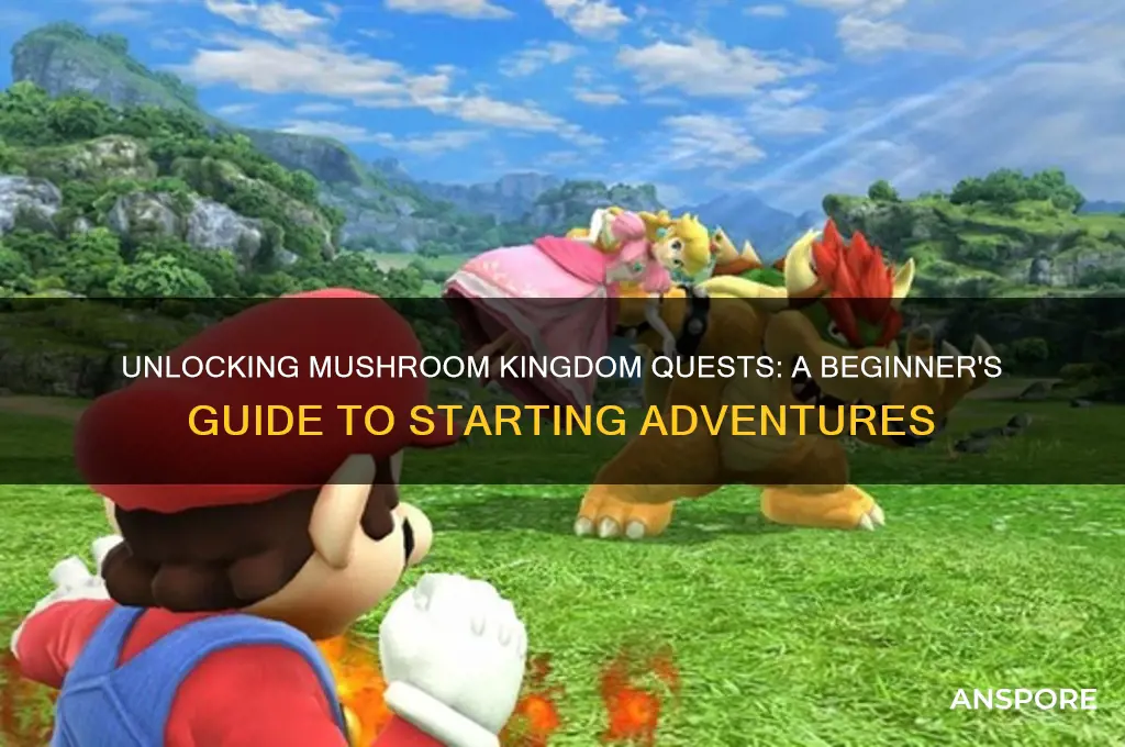 how to start mushroom kingdom quests