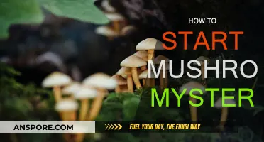Mushroom Mystery: A Beginner's Guide to Cultivation