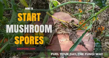 Mastering Mushroom Cultivation: A Beginner's Guide to Starting Spores