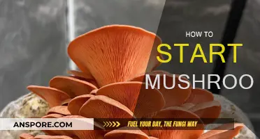 Mushroom Cultivation: Getting Started Guide