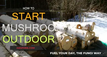 Grow Mushrooms Outdoors: A Beginner's Guide