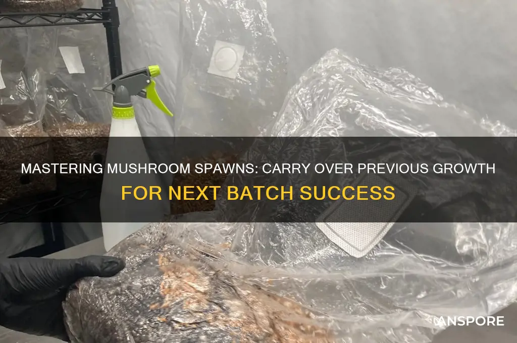 how to start next spawn with previous spawn mushroom