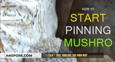 Pinning Mushrooms: A Beginner's Guide to Success