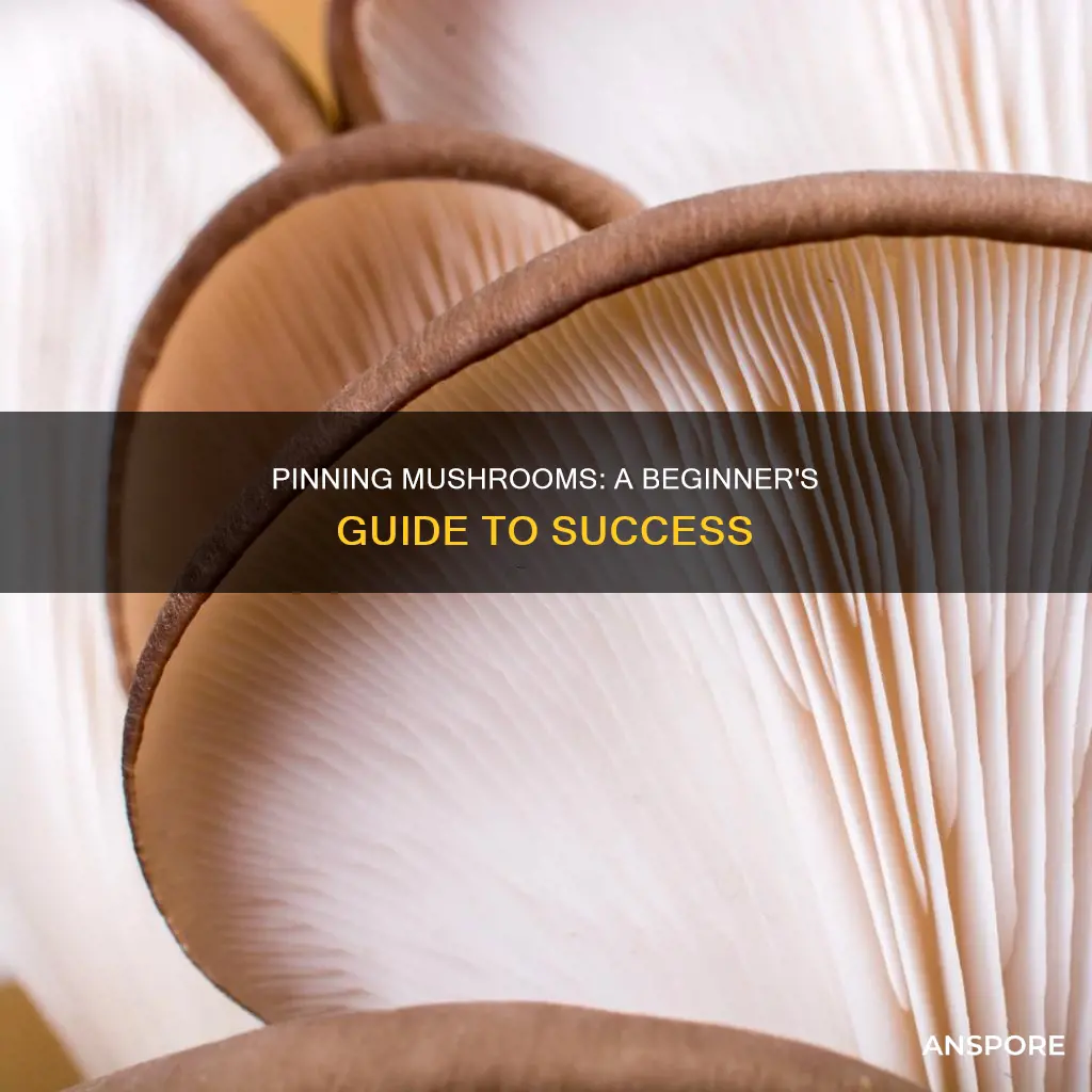 how to start pinning mushrooms