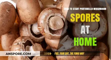 Grow Your Own Portobello Mushrooms: A Beginner's Guide to Starting Spores at Home