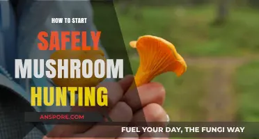 Safely Foraging Mushrooms: A Beginner's Guide to Mushroom Hunting