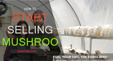 Grow and Sell Mushrooms: A Beginner's Guide