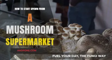Growing Gourmet Mushrooms: A Beginner's Guide to Supermarket Spawn
