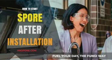 Launching Spore: A Step-by-Step Guide Post-Installation