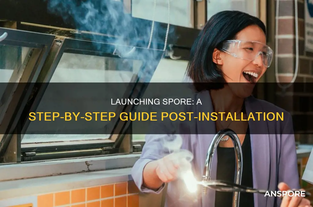 how to start spore after installation