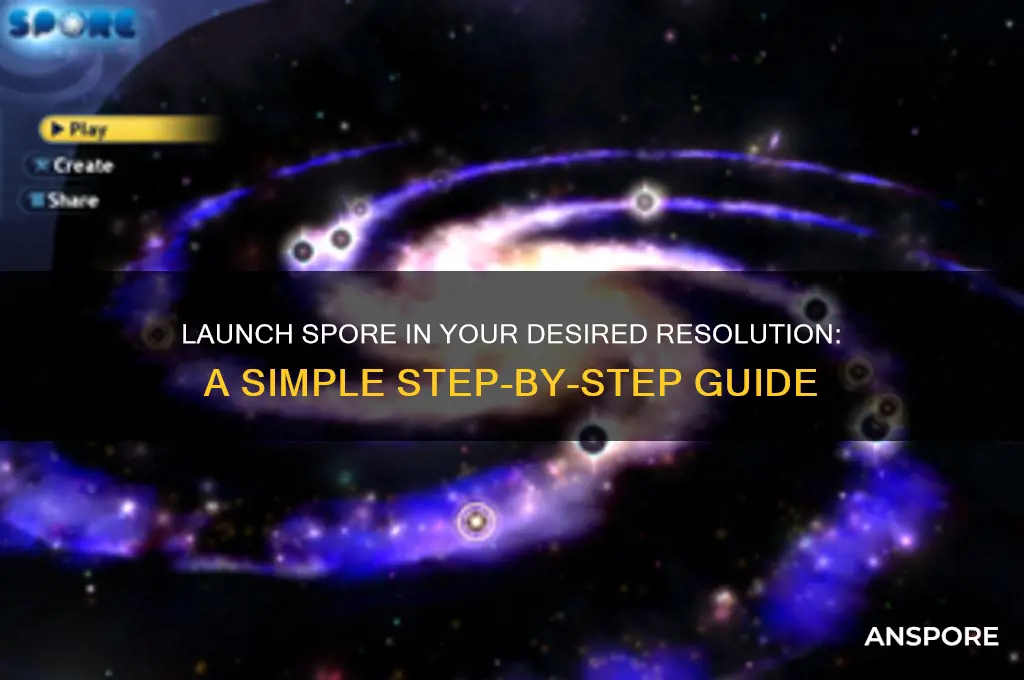 how to start spore in a certain resolution