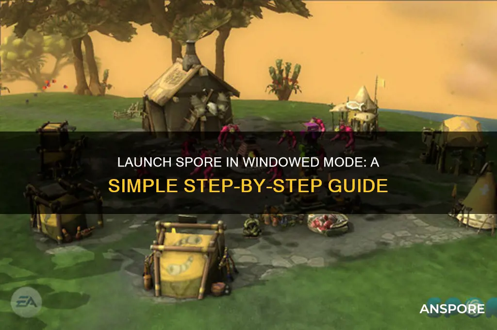how to start spore in windowed mode