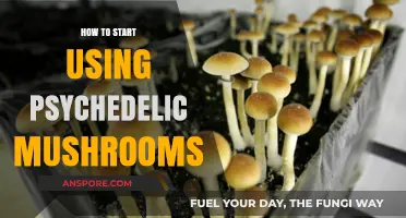Exploring Psychedelic Mushrooms: A Beginner's Guide to Safe Usage