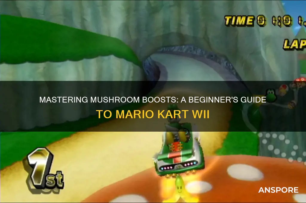 how to start with mushrooms mario kart wii