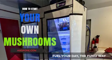 Grow Your Own Mushrooms: A Beginner's Guide to Cultivation