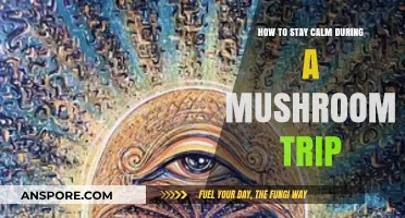 Mastering Serenity: A Guide to Staying Calm on Your Mushroom Journey
