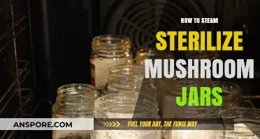 Mastering Mushroom Jar Sterilization: A Step-by-Step Steam Guide
