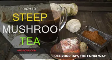 Steeping Mushroom Tea: A Beginner's Guide