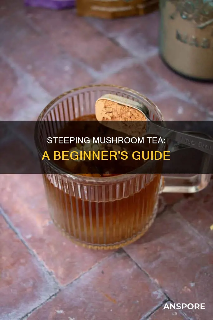 how to steep mushroom tea