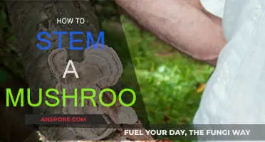The Perfect Stem: Mastering Mushroom Preparation