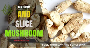 Mastering Mushroom Prep: Easy Steps to Stem and Slice Perfectly