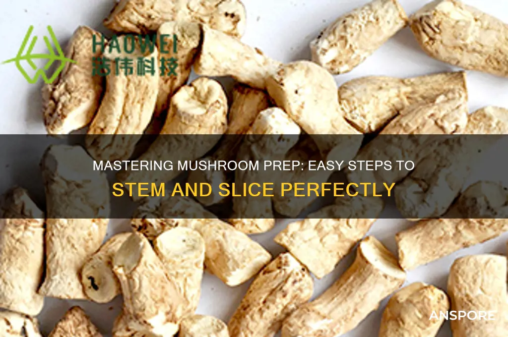 how to stem and slice mushroom
